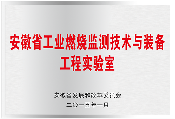 安徽省工業(yè)燃燒監(jiān)測技術(shù)與裝備工程實(shí)驗室